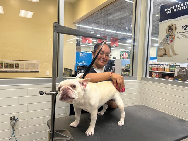 Images Petco Grooming