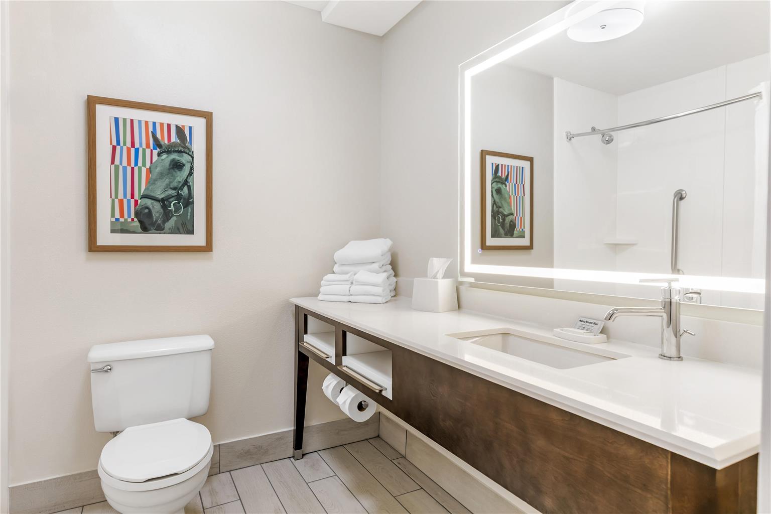 Guest room bath 