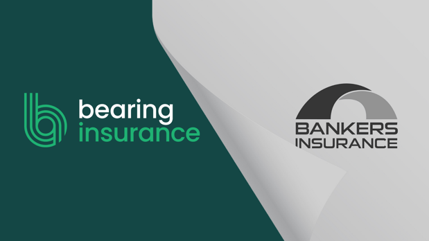 Images Bearing Insurance