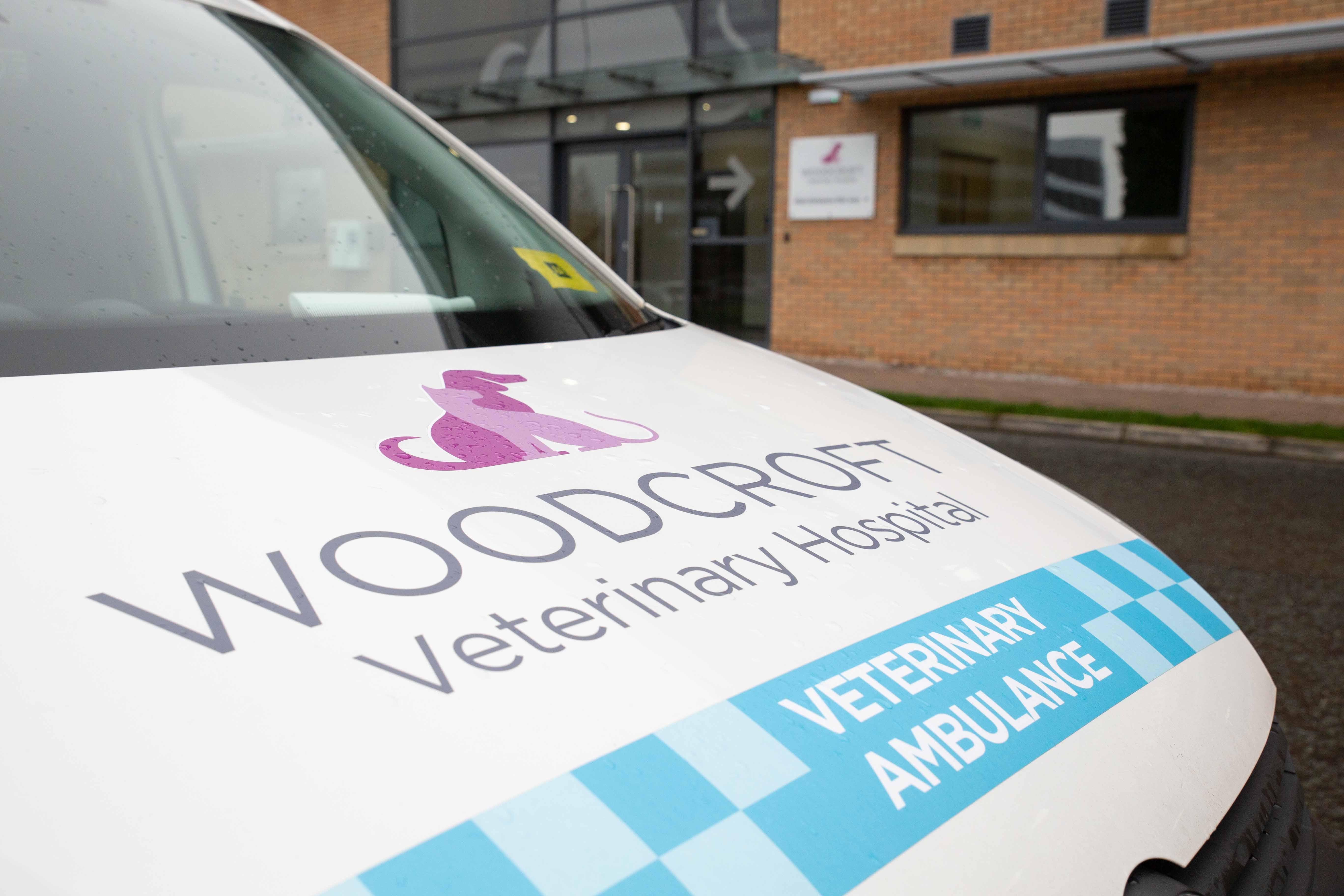 Images Woodcroft Veterinary Hospital