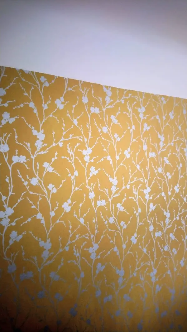 Images Simon Scrimshaw Painting & Decorating