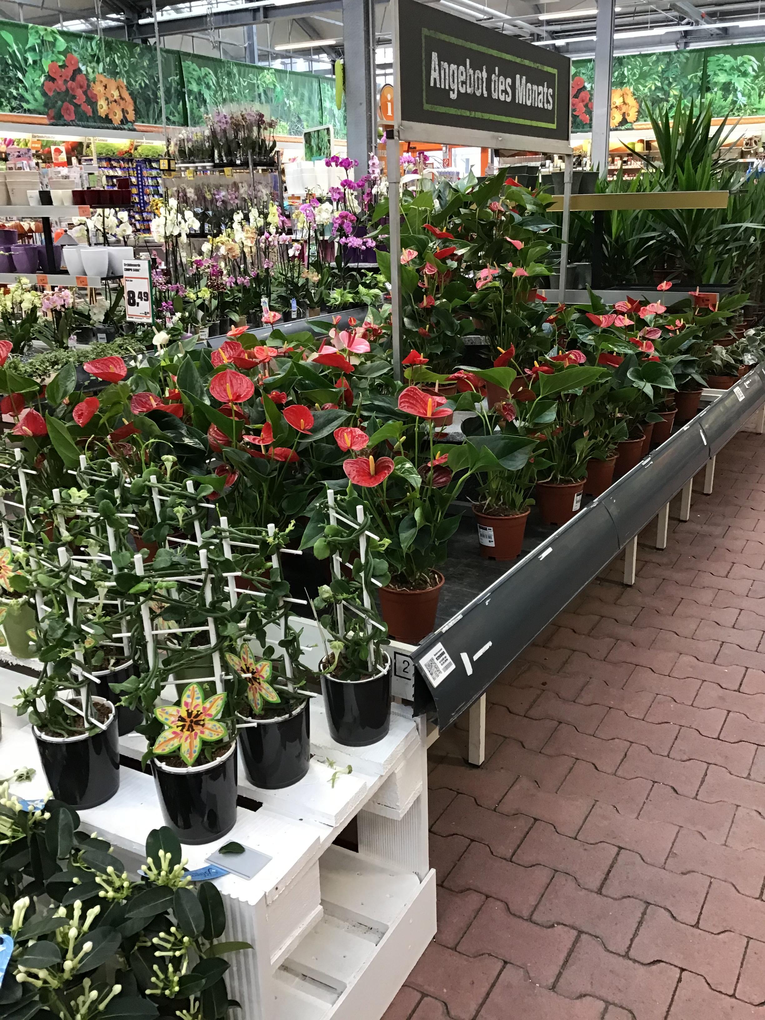 OBI Markt Öhringen 74613 Oehringen Öffnungszeiten Adresse Telefon