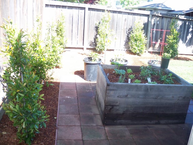 Images JC Tree Care & Landscape