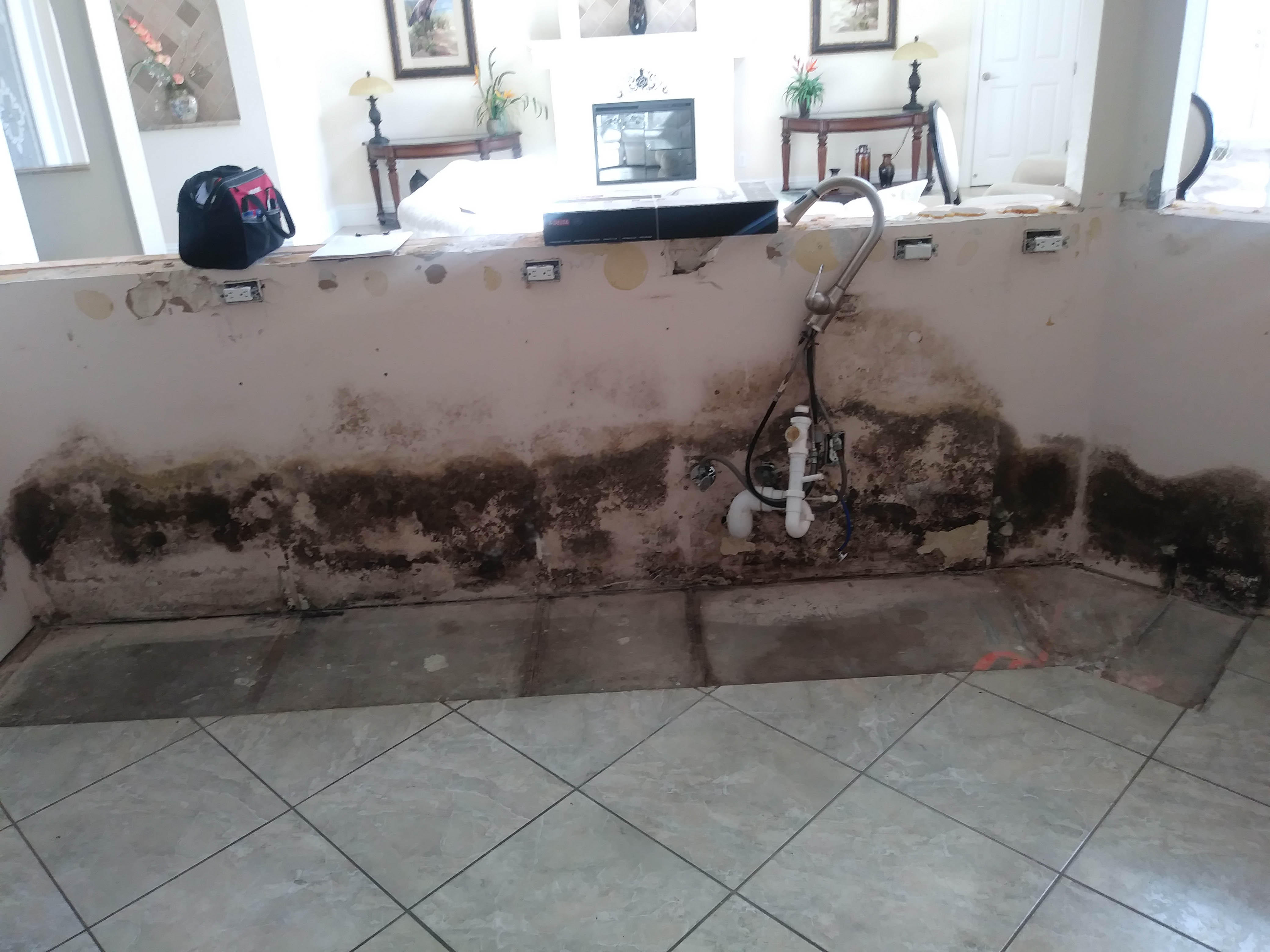 Mold growth can occur within 48-72 hours after water damage. SERVPRO of Cape Coral has the advanced training to rid your property of mold.