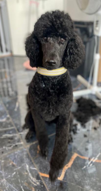 Images 4 Tassarnas Trim AB