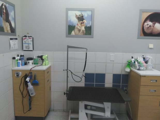 Images Petco