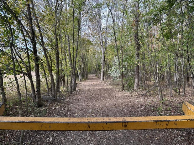 Images RED'S Forestry Mulching