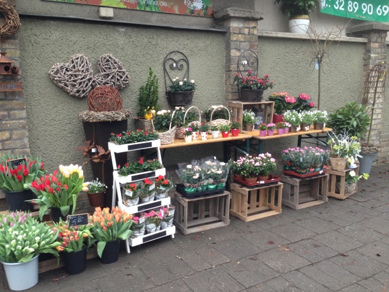 Blumen am Segensfriedhof, Gustav-Adolf-Straße 67 in Berlin