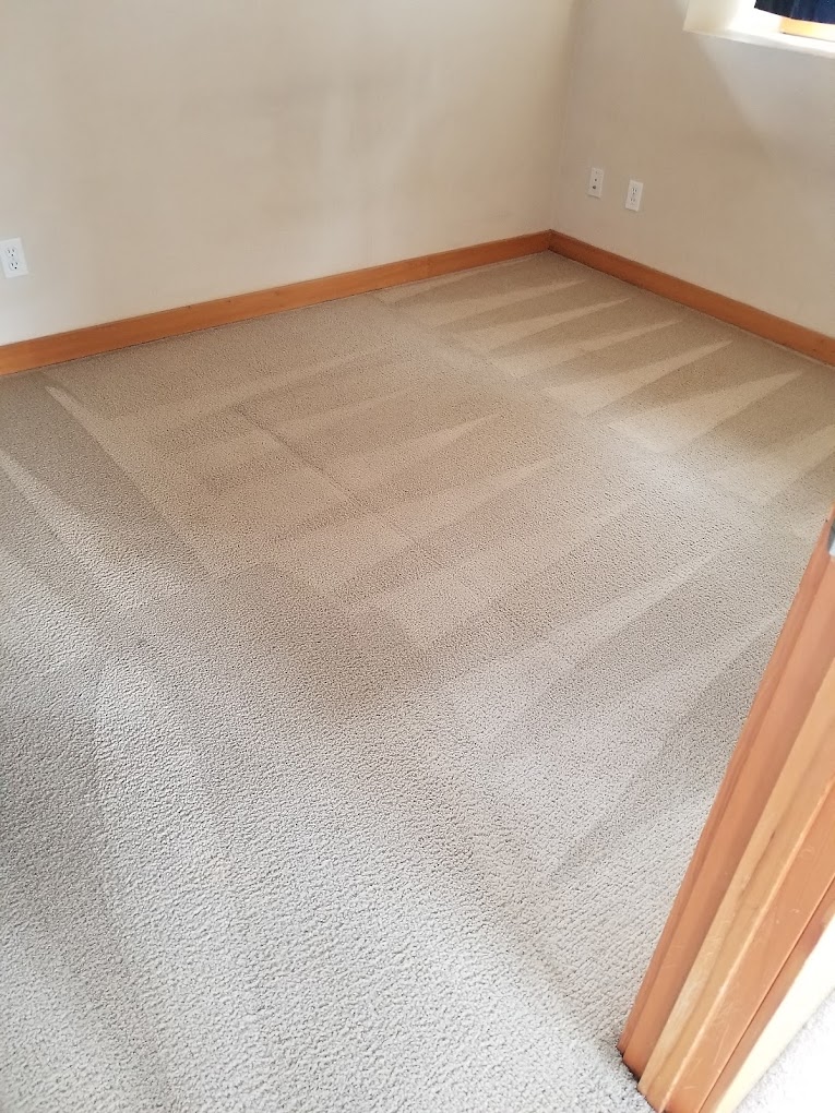 carpet cleaning in seattle wa Chem-Dry of Seattle Seattle (206)783-1003