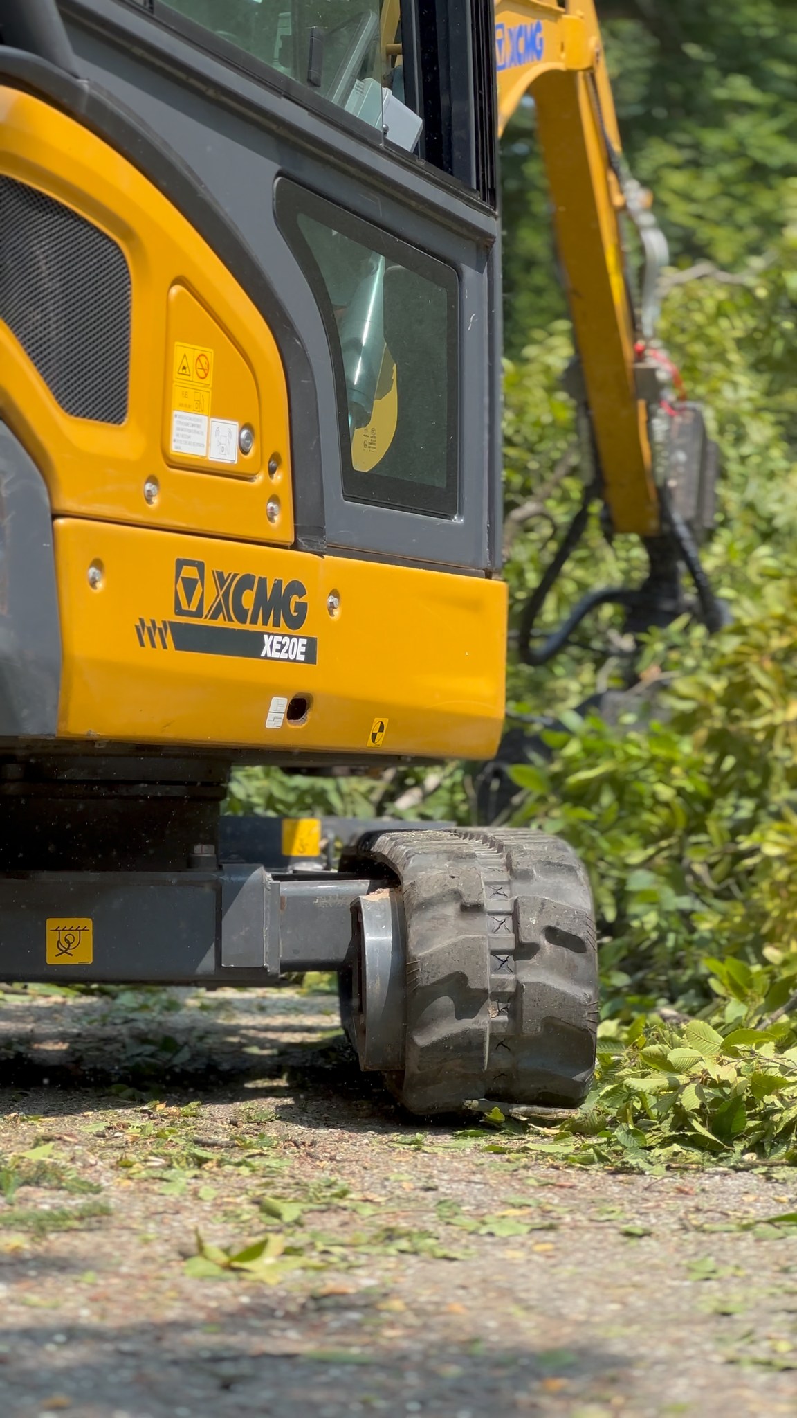 Images Furján Gábor - Veszélyes fák kivágása