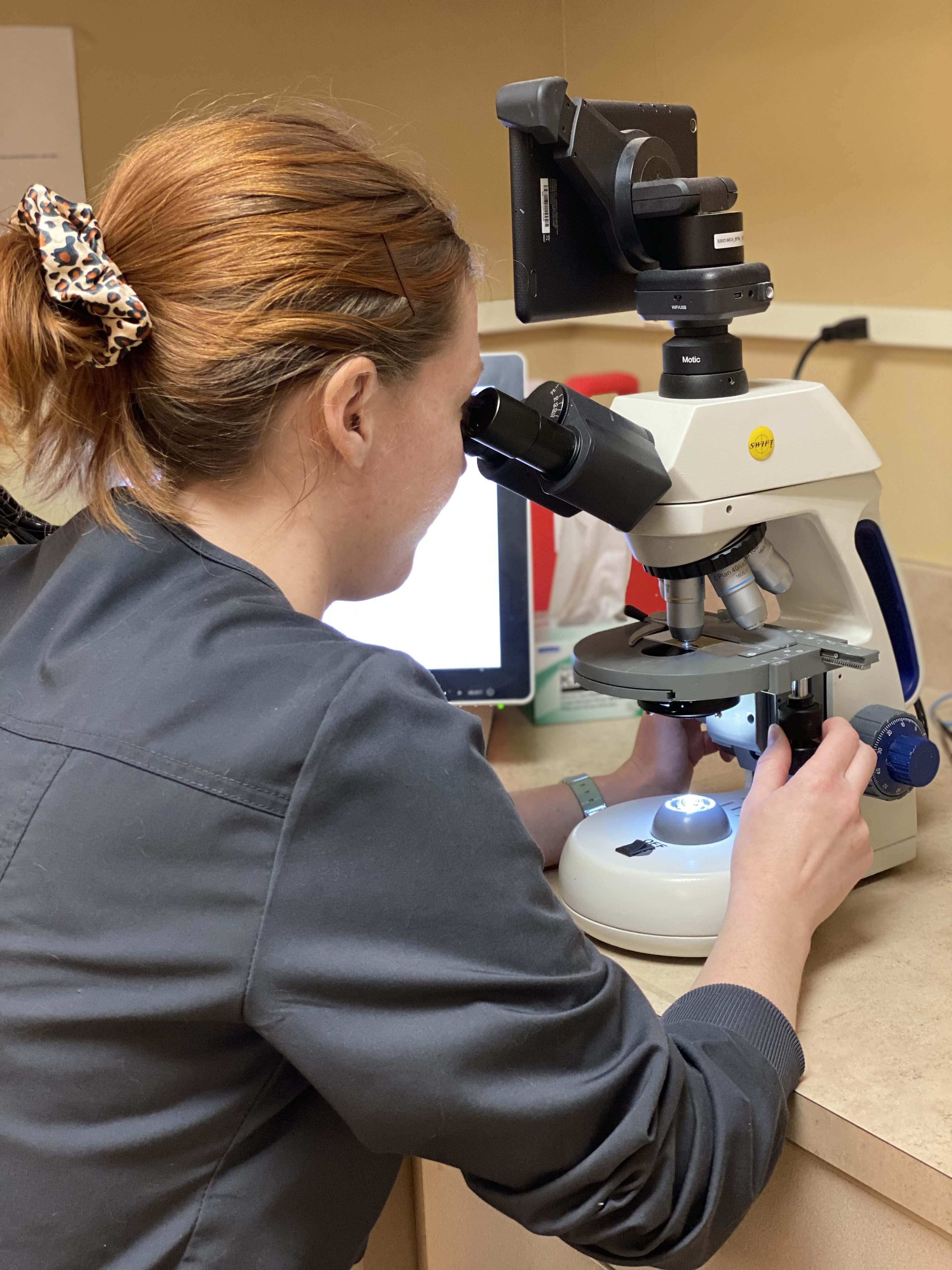 One of our team members examines a sample using a microscope in our on-site diagnostic laboratory.