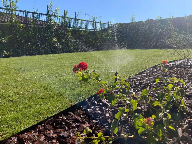 Images Arizona Landscape & Irrigation Solutions LLC