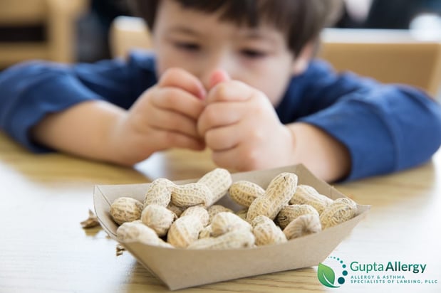Images Gupta Allergy: Allergy & Asthma Specialists of Lansing, PLLC