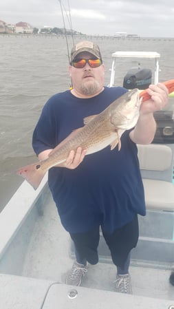 Images E-6 INSHORE FISHING ADVENTURES, LLC