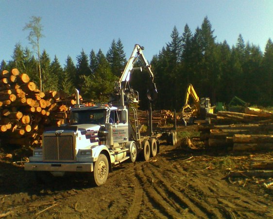 Images American Forest Lands Washington Logging Company LLC
