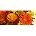 Cana/Mt Airy Florist