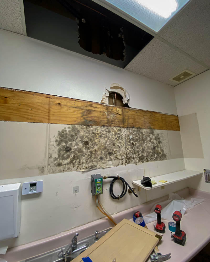 Mold damage in your home? Choose SERVPRO of Whittier they are Professionals that know how to solve the problem.