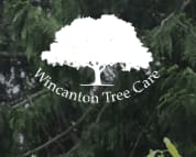 Images Wincanton Tree Care