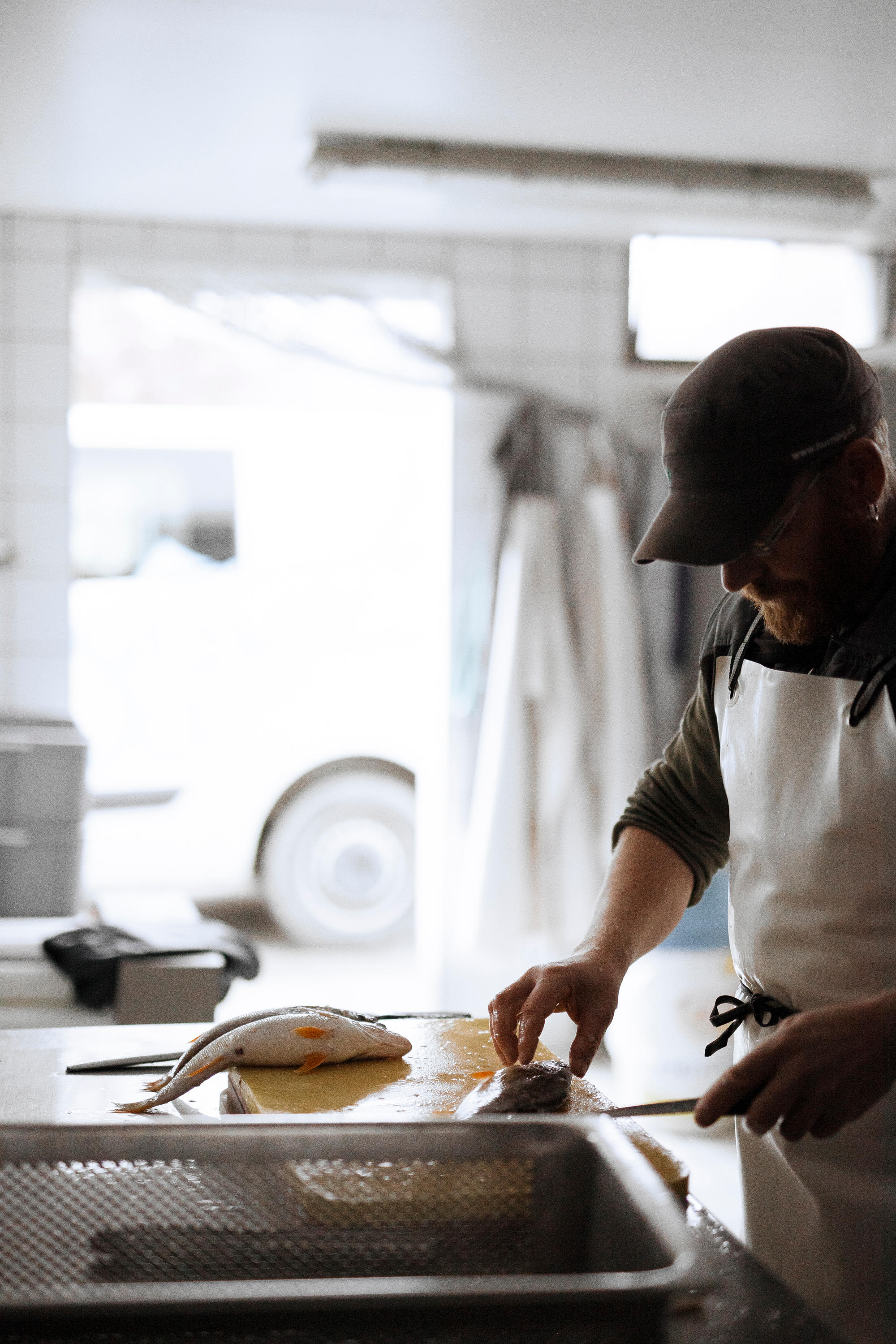Fischerei Dasen, Seerain 17 in Gerolfingen