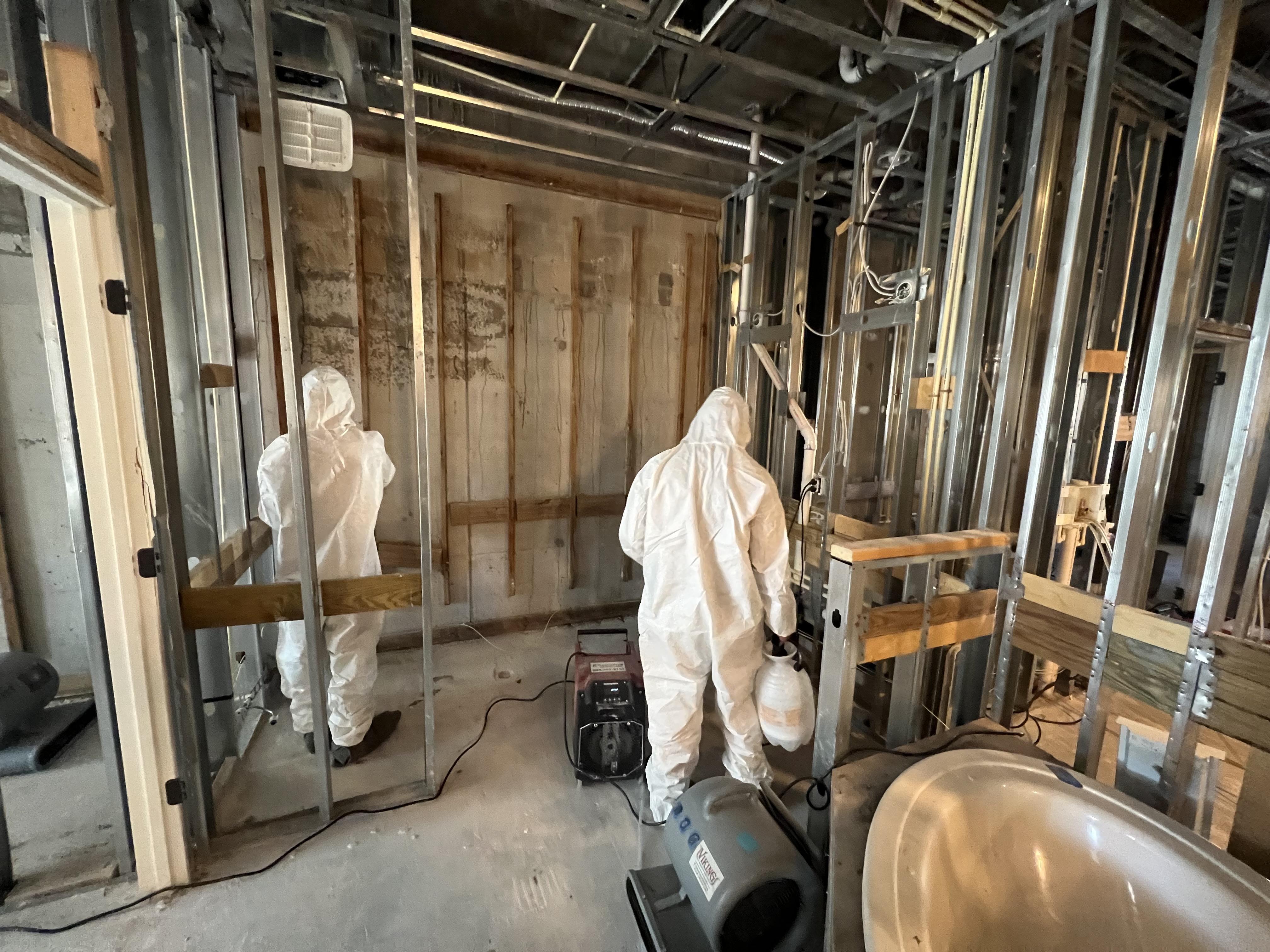 Water Damage Restoration and Mold Mitigation