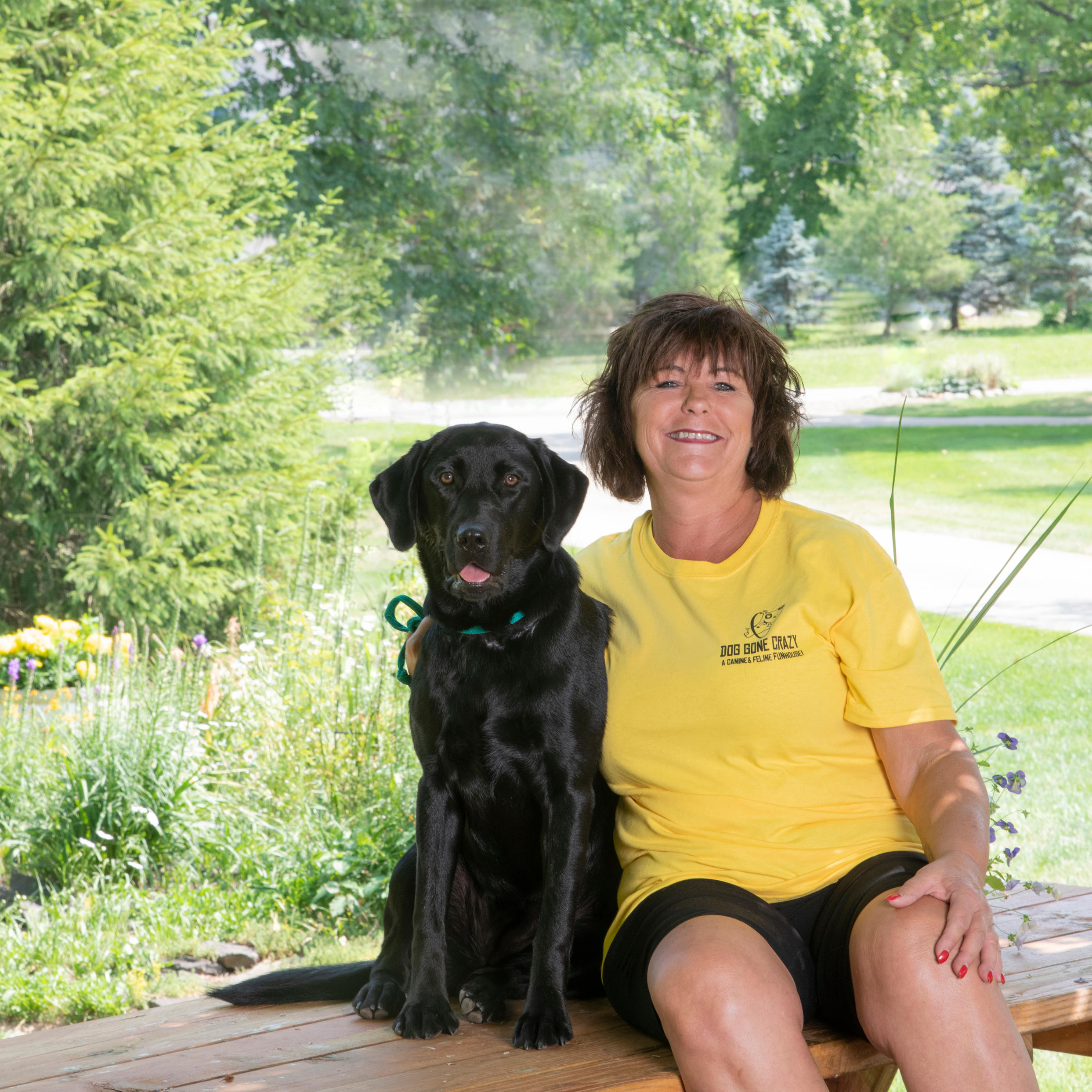 Dog Gone Crazy Kennels Photo