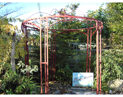 Stauden Hendrikx, Speck 62A in Nettetal