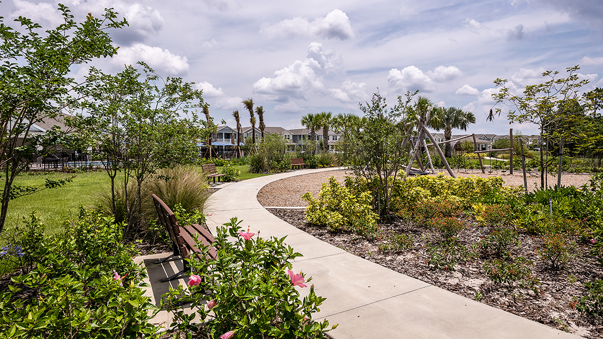 Harvest at Ovation - Taylor Morrison Image