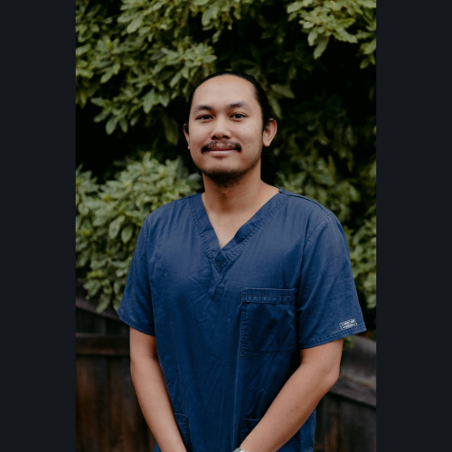 Images Melbourne Dental Vision
