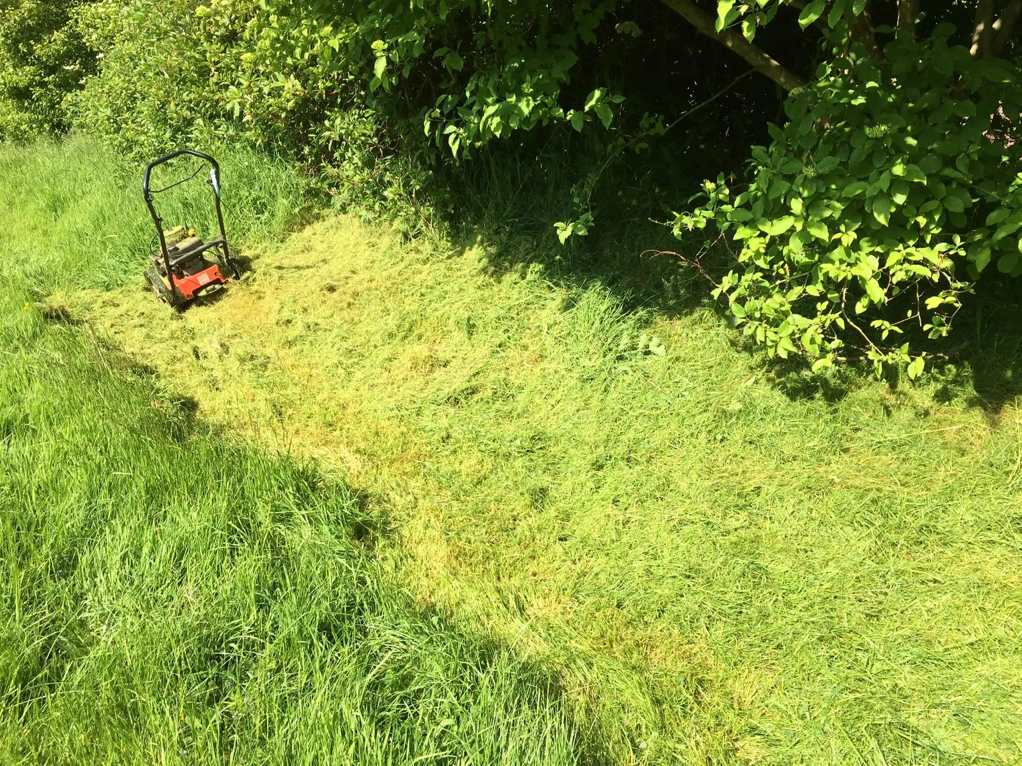 Images Gareth Shallcross