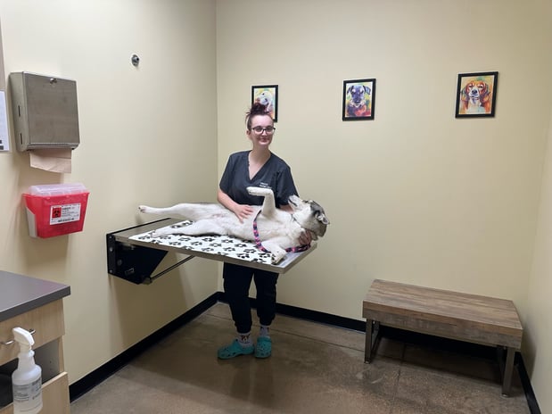 Images Vetco Total Care Animal Hospital