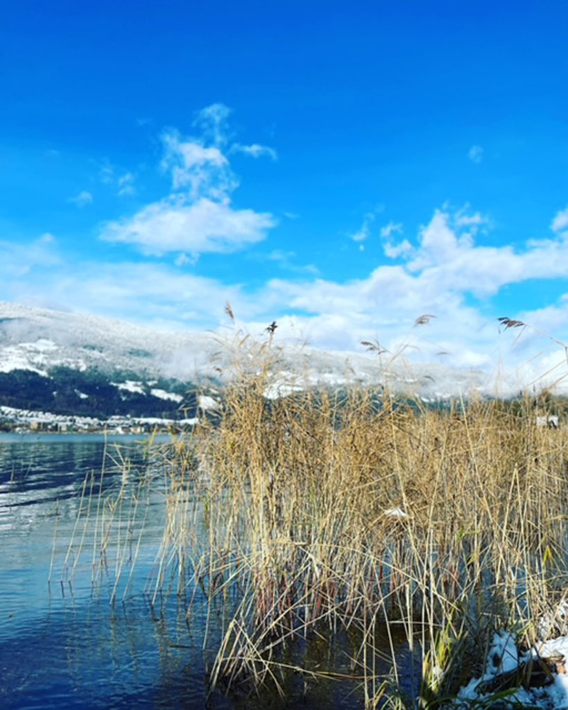 Bild 44 von Terrassen Camping Ossiach