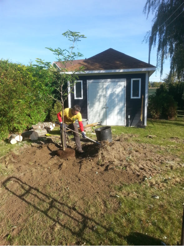 Images Canopée Service d'Arboriculture