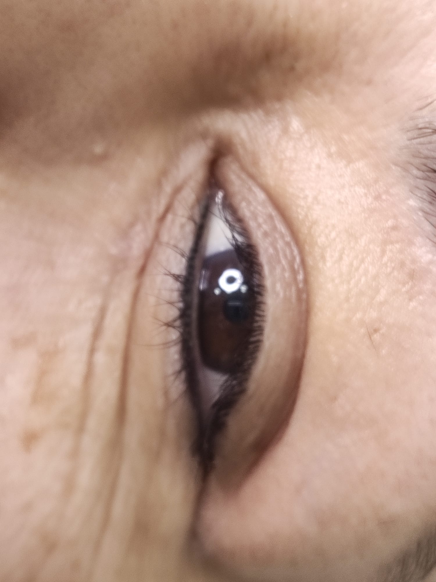 Images Dc Brows & lashes