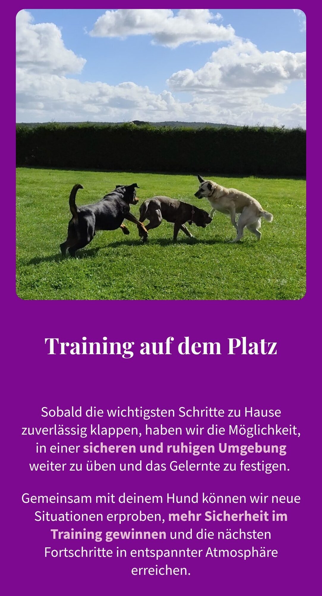 Pfoten Anker, Alt Pastitz 5 in Putbus