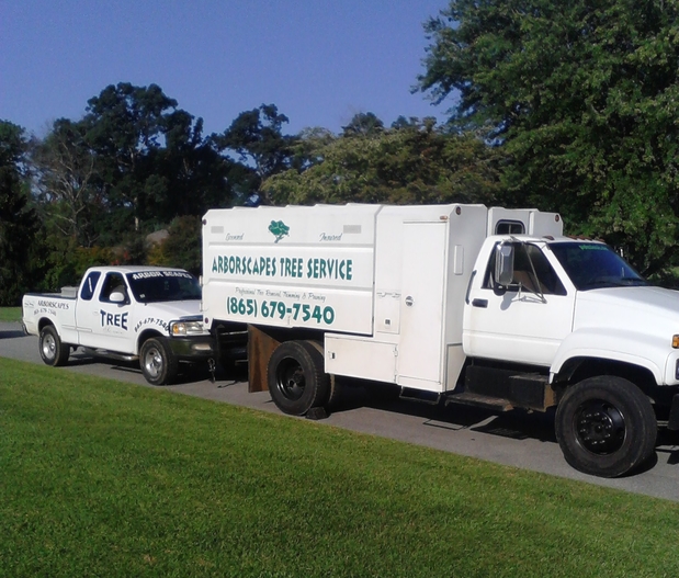 Images Arborscapes tree service