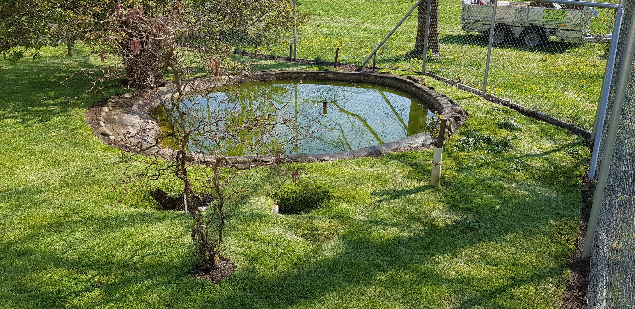 Bilder Holderegger Gartenservice