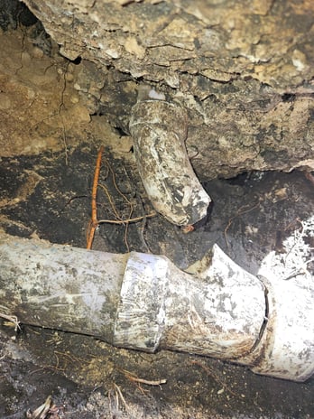 Images Maximus Plumbing