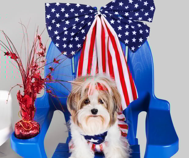 Images Great Outdogs