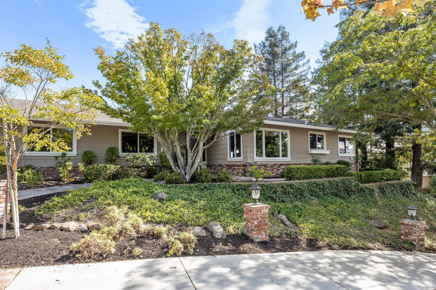 Images Michelle Torretta, REALTOR | The Agency