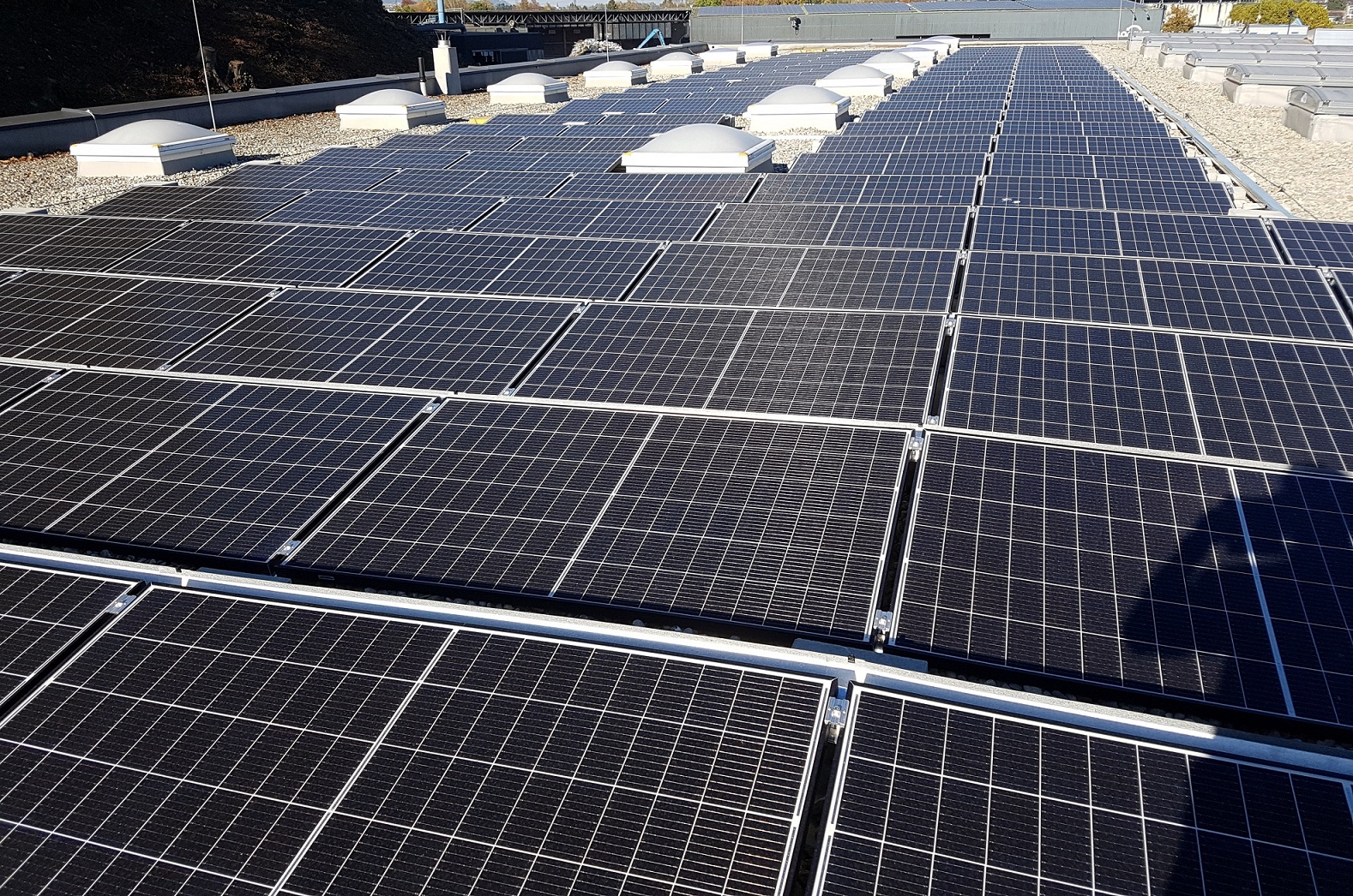 Bild 4 von Solarimpuls erneuerbare Energien GmbH