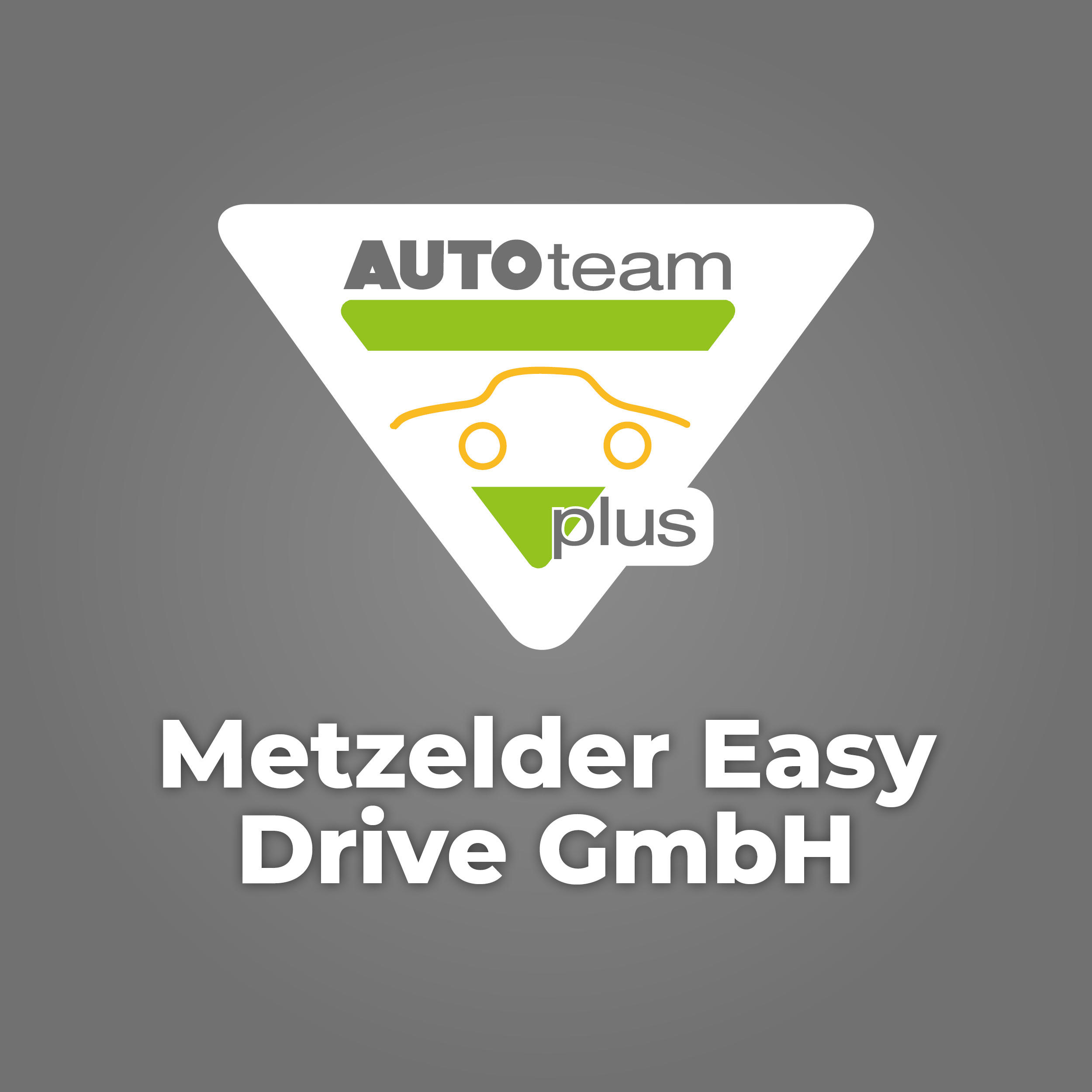 Metzelder Easy Drive GmbH in Kelsterbach - Logo