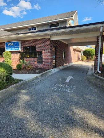 Images VCA Wrightsville Beach Animal Hospital