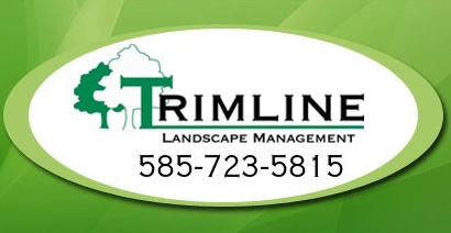 Trimline Landscape Management - Rochester, NY 14623 - (585)723-5815 | ShowMeLocal.com