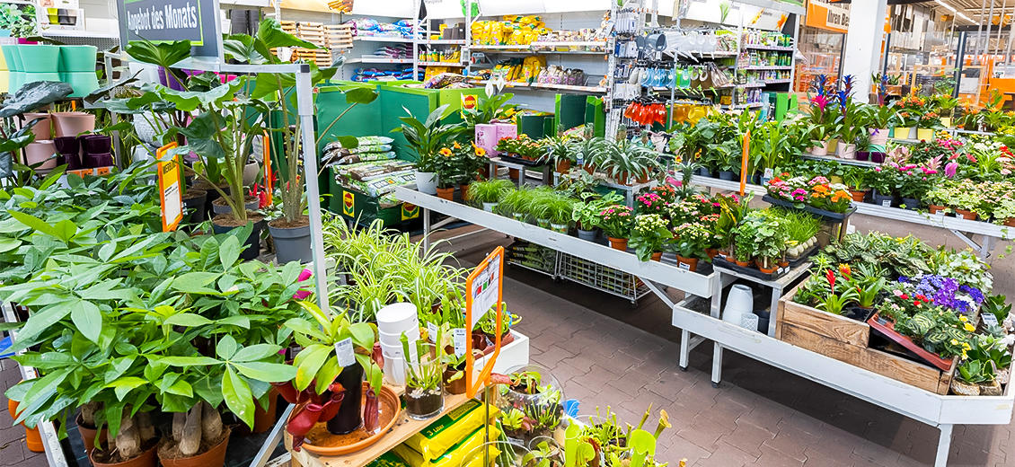 Fotos - OBI Markt Siegen-Weidenau - 26