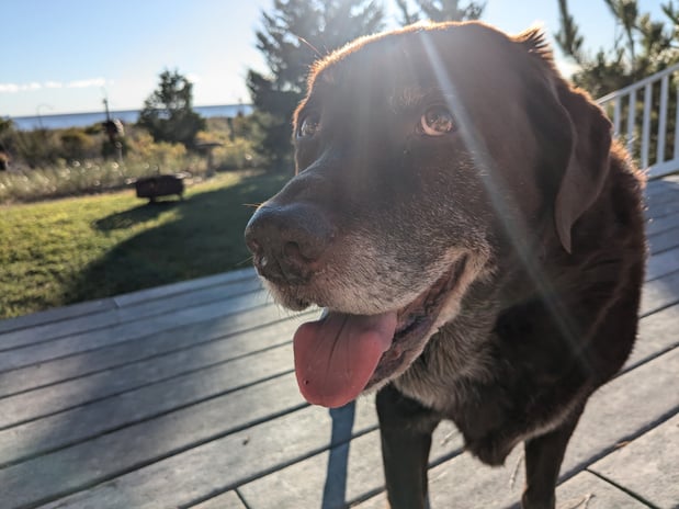 Images Cindy Donaldson: Allstate Insurance