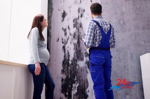 Images First Response Restoration, Water Damage Minneapolis Specialist
