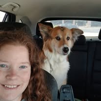 Images Paragon Pups LLC