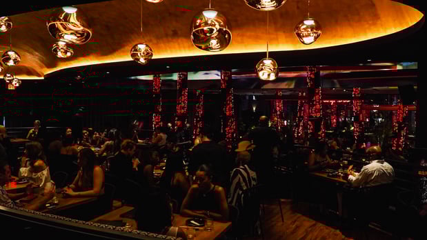 Images Komodo Dallas