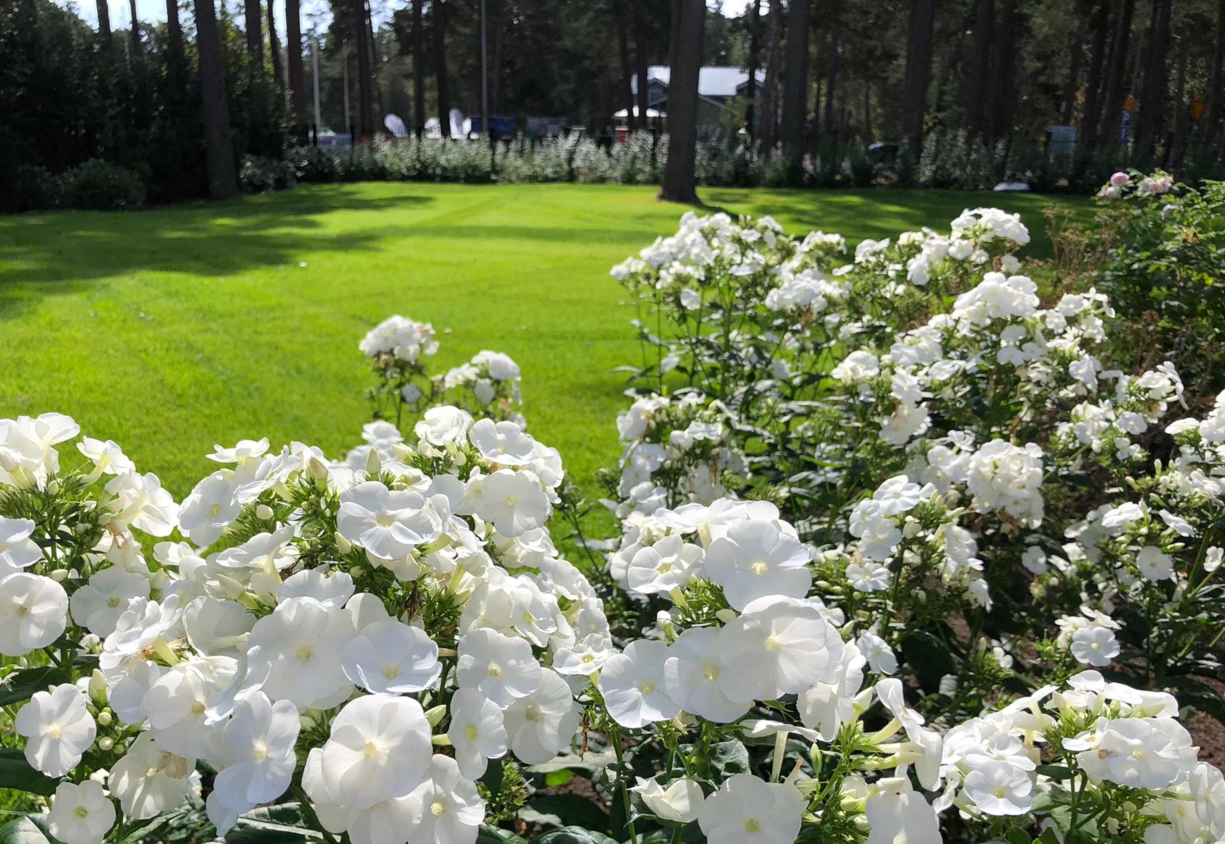 Images via Garden Oy
