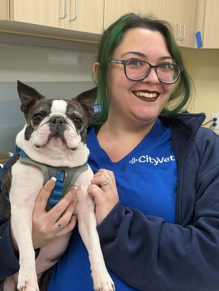 CityVet | Providence team member and dog patient